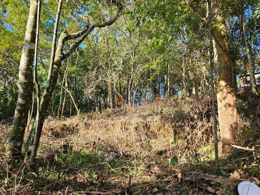 Terreno, 1100 m² - Foto 3