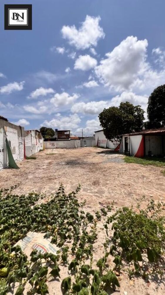 Terreno, 600 m² - Foto 3