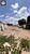 Terreno, 600 m² - Foto 3