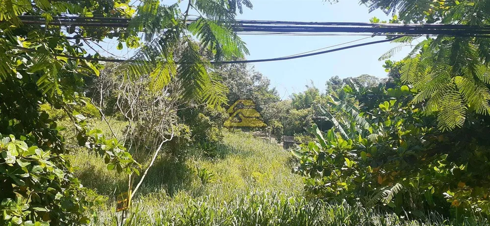 Terreno, 7000 m² - Foto 13