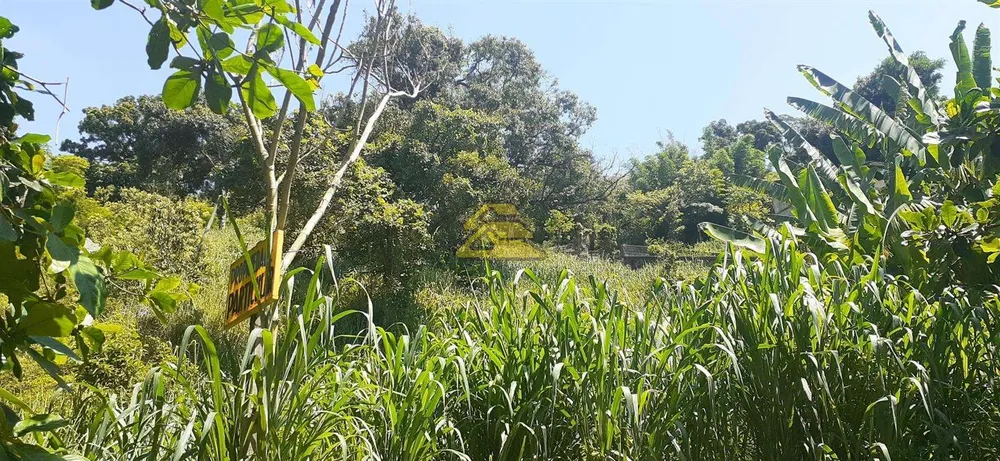 Terreno, 7000 m² - Foto 18