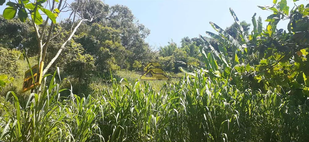 Terreno, 7000 m² - Foto 12