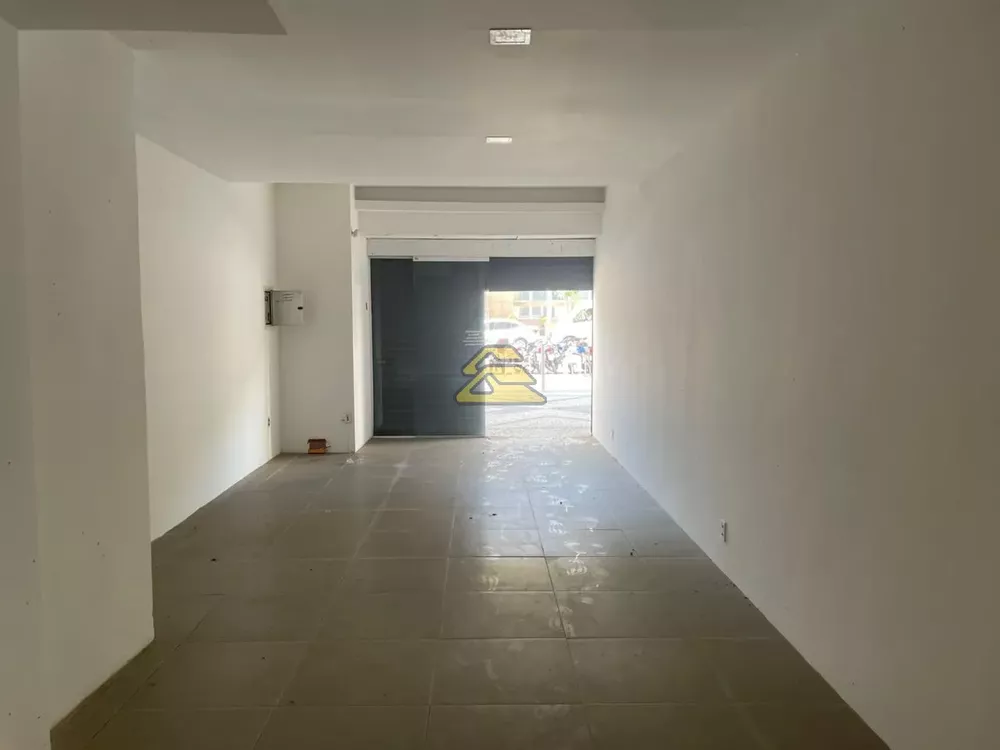 Loja-Salão, 244 m² - Foto 11