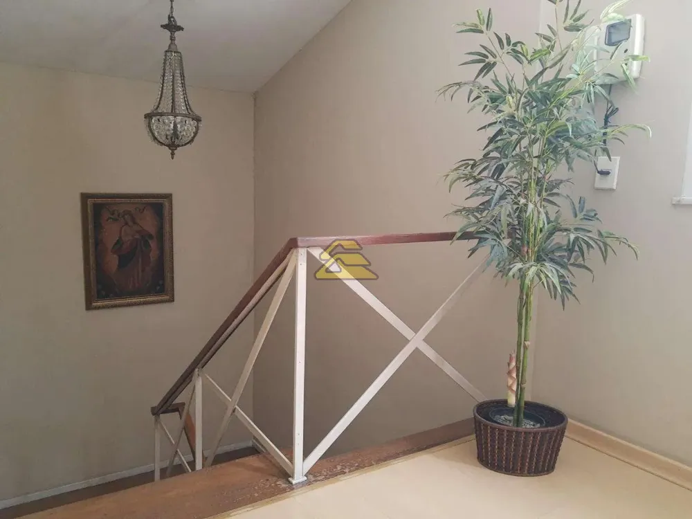 Casa, 5 quartos, 500 m² - Foto 5