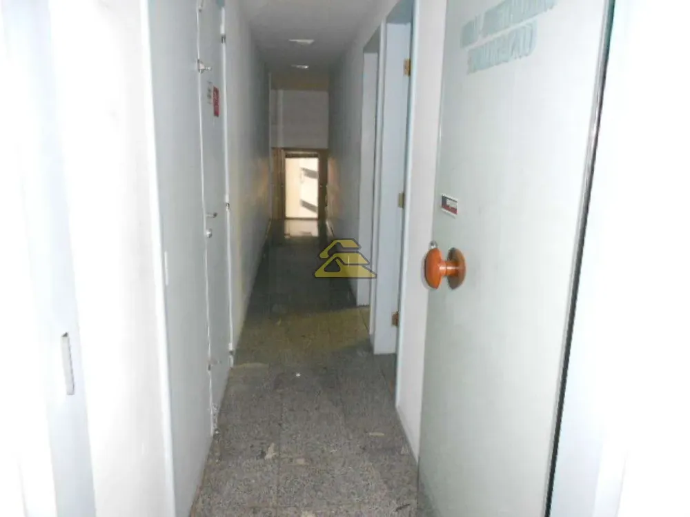 Sala-Conjunto, 385 m² - Foto 5