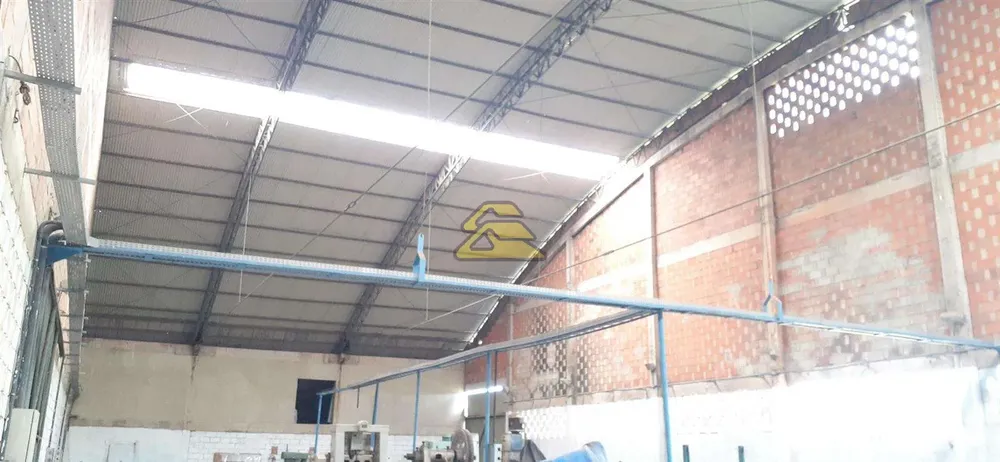 Terreno, 21 hectares - Foto 11