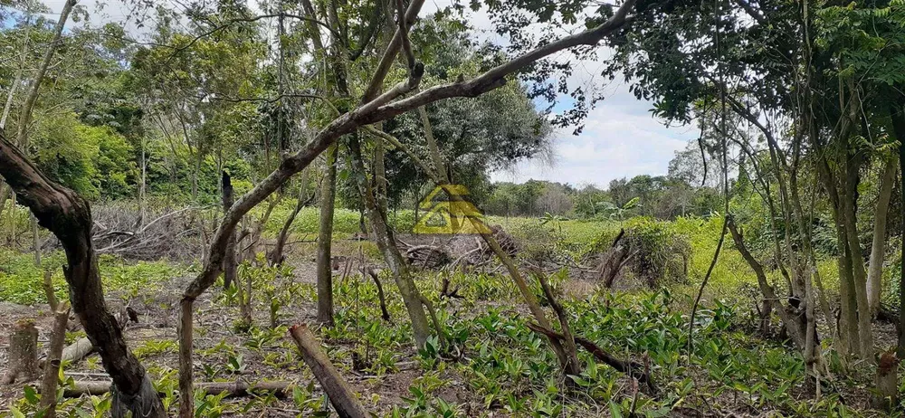 Terreno, 21 hectares - Foto 21