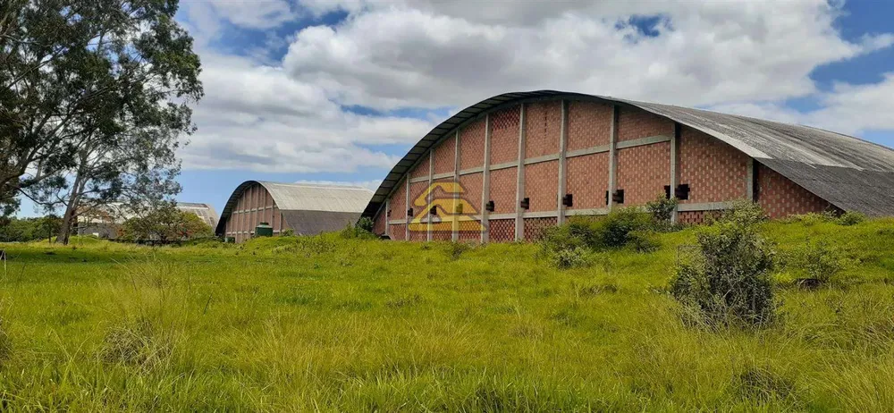 Terreno, 21 hectares - Foto 13