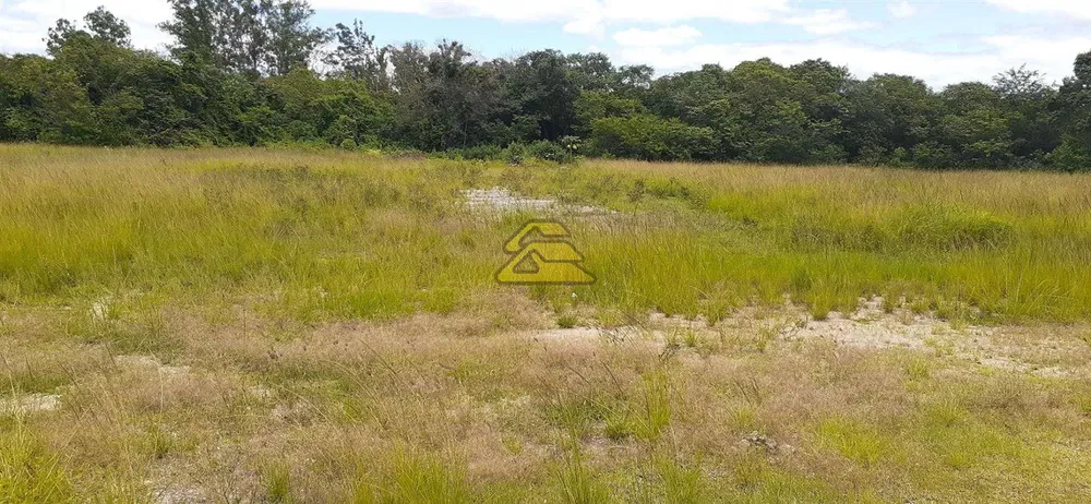 Terreno, 21 hectares - Foto 4