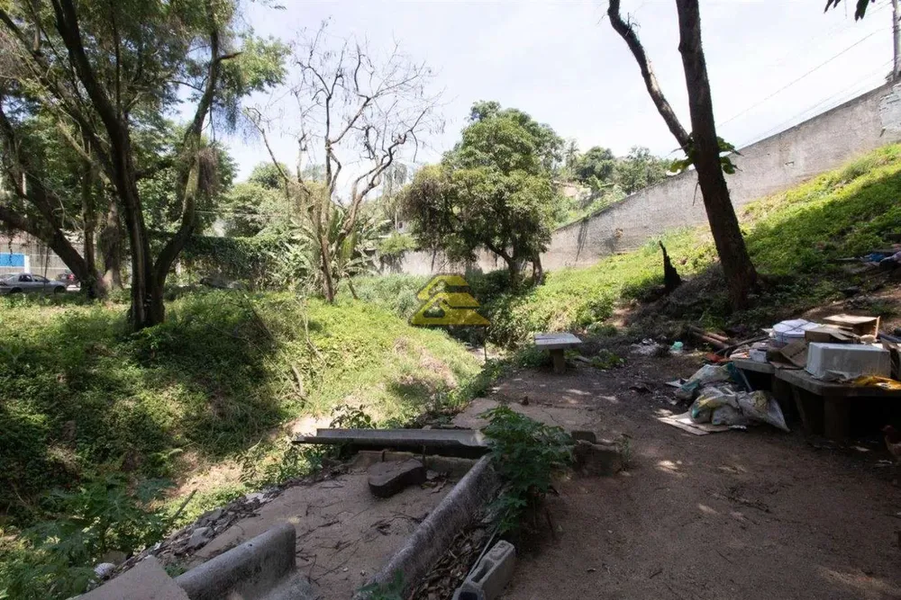 Terreno, 2 hectares - Foto 3