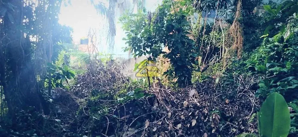 Terreno, 653 m² - Foto 10