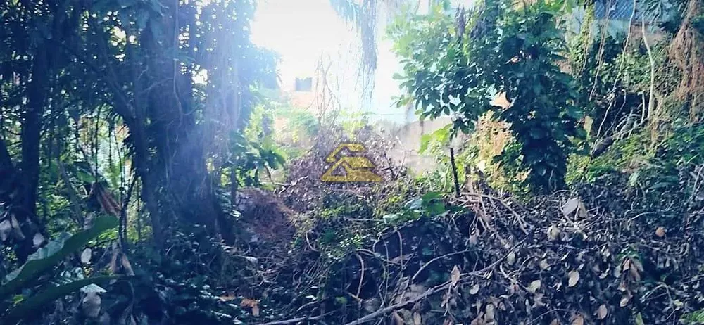 Terreno, 653 m² - Foto 5