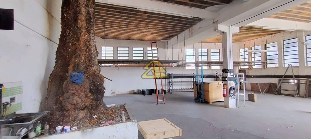Depósito-Galpão, 370 m² - Foto 2