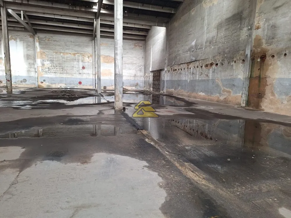 Depósito-Galpão, 1503 m² - Foto 14