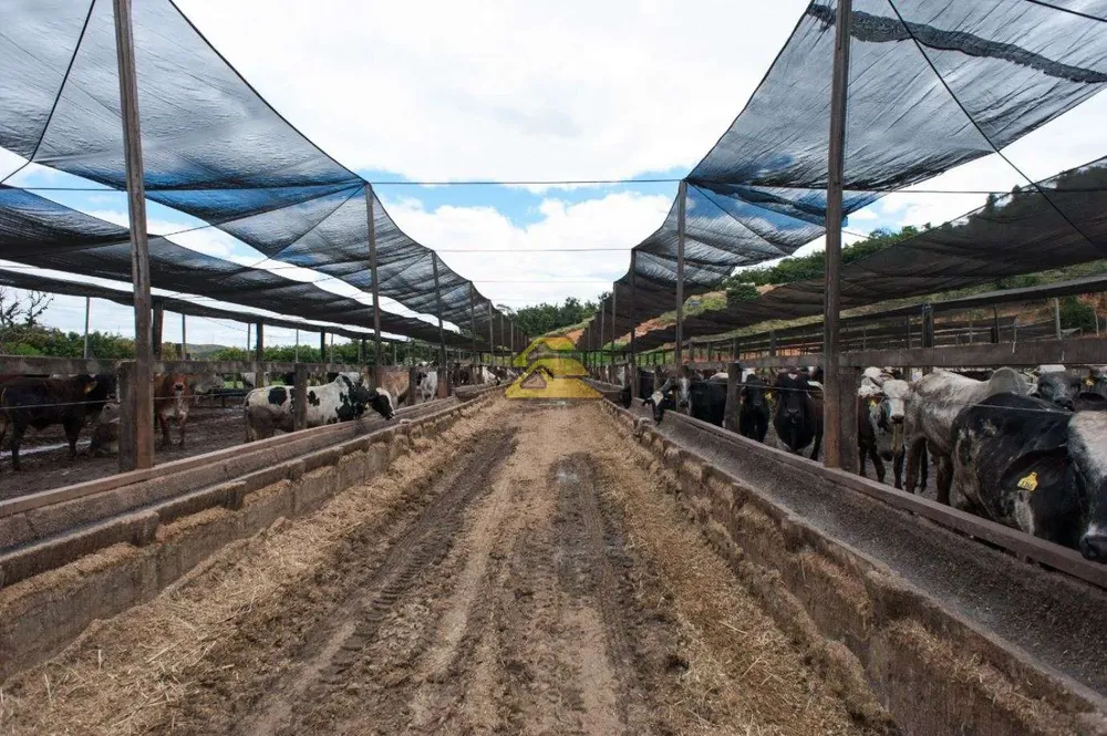 Fazenda, 1500 m² - Foto 22