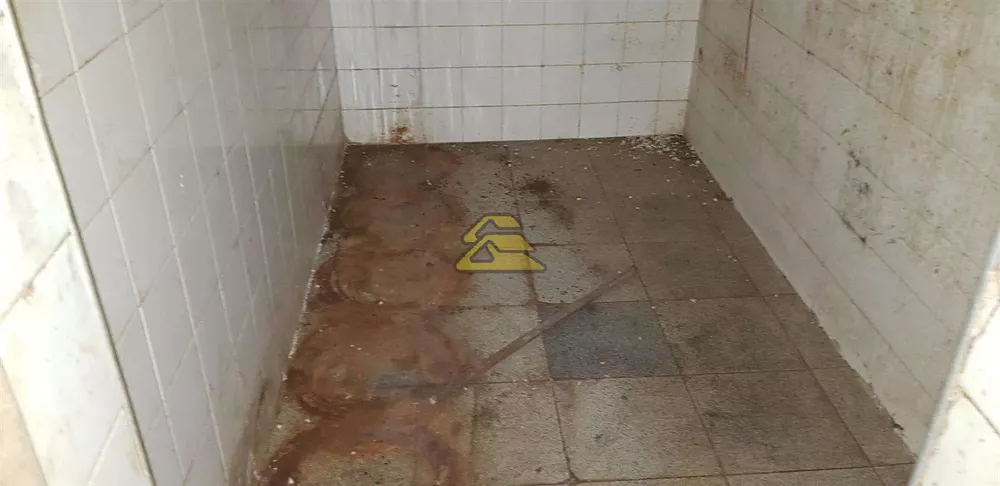 Prédio Inteiro, 400 m² - Foto 15