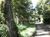 Terreno, 9 hectares - Foto 3