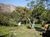 Terreno, 9 hectares - Foto 4