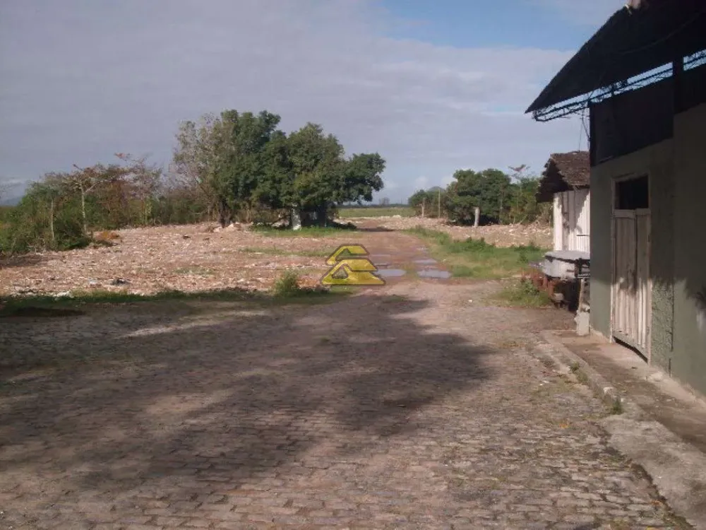 Terreno, 5 hectares - Foto 7