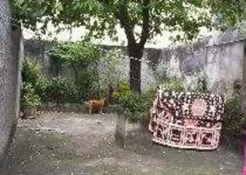 Casa, 6 quartos, 300 m² - Foto 17
