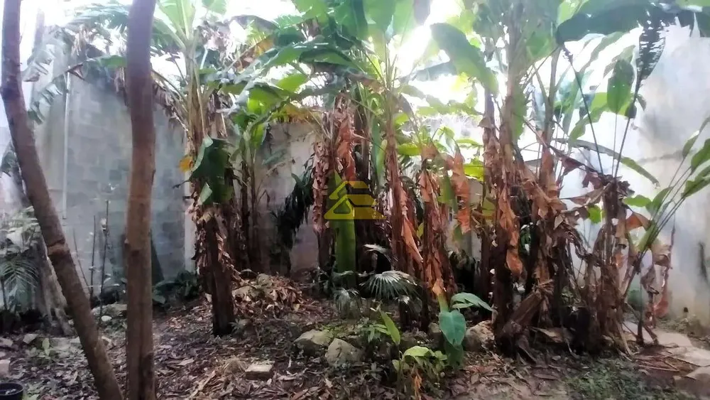 Casa, 6 quartos, 240 m² - Foto 41
