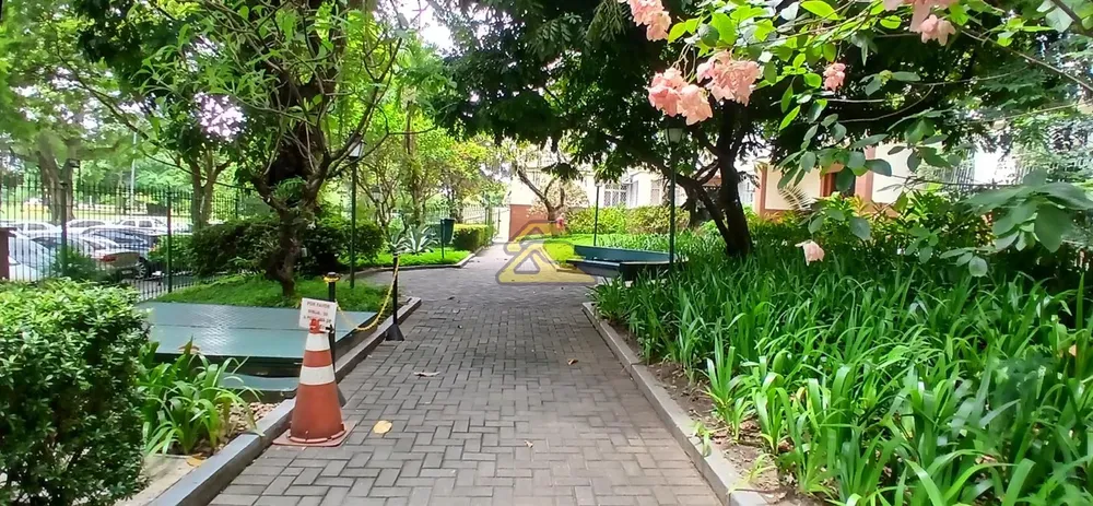 Apartamento, 3 quartos, 205 m² - Foto 3