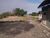 Terreno, 5 hectares - Foto 4