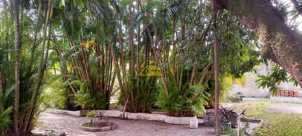 Terreno, 1083 m² - Foto 22