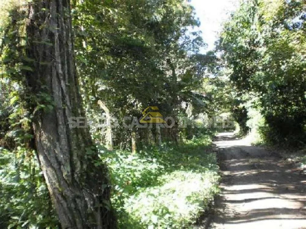 Terreno, 9 hectares - Foto 3