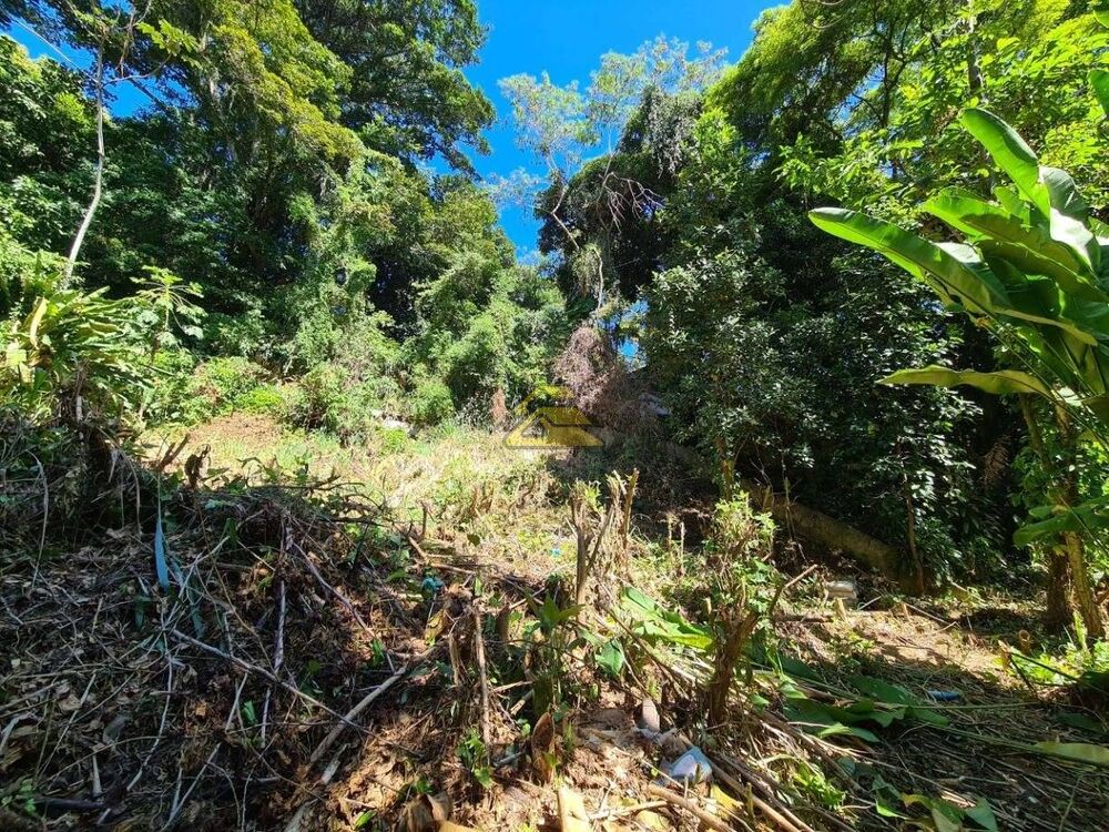 Terreno, 740 m² - Foto 7