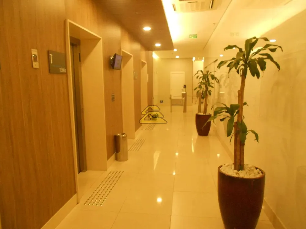 Sala-Conjunto, 310 m² - Foto 19