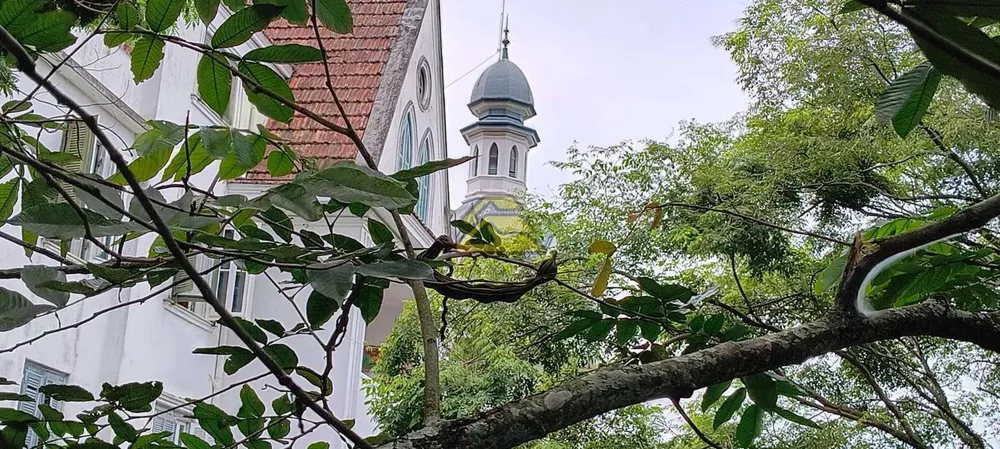 Casa, 5 quartos, 229 m² - Foto 2