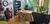 Sala-Conjunto, 35 m² - Foto 8
