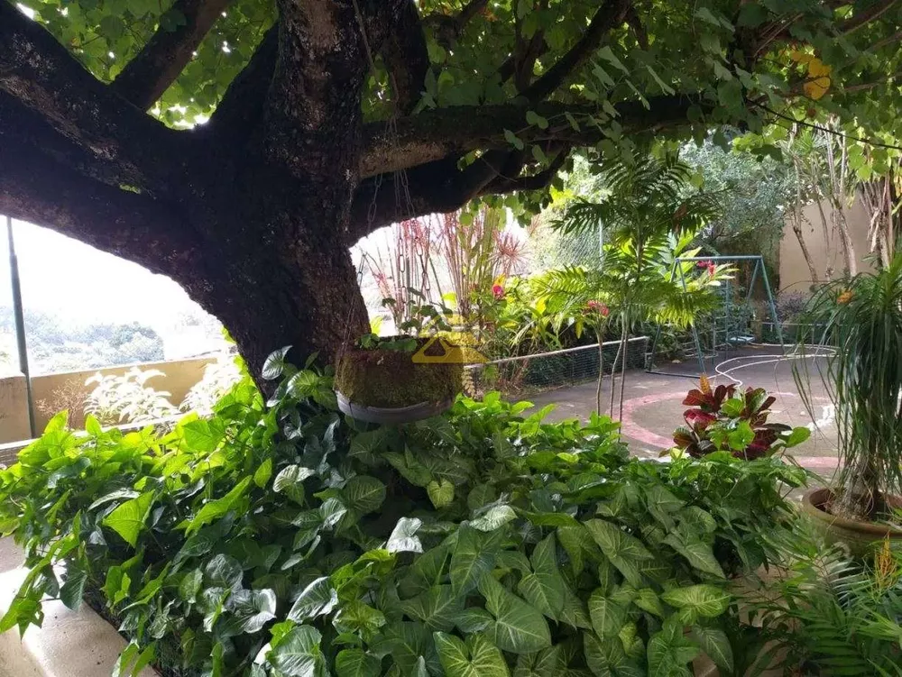 Casa, 5 quartos, 350 m² - Foto 18