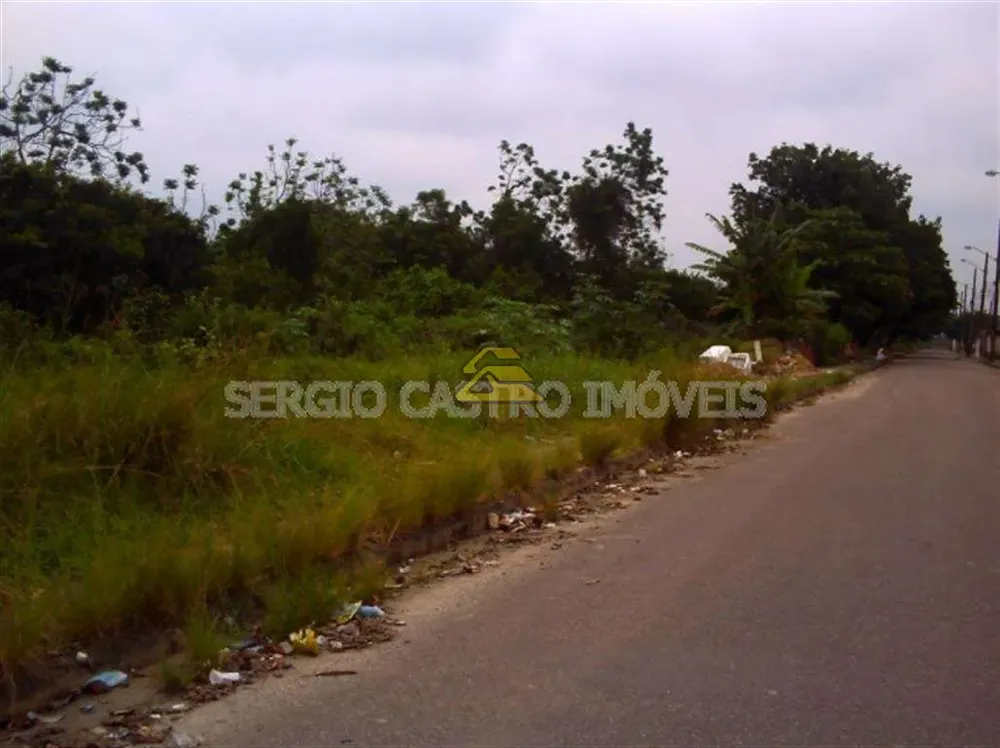 Terreno, 10 hectares - Foto 7