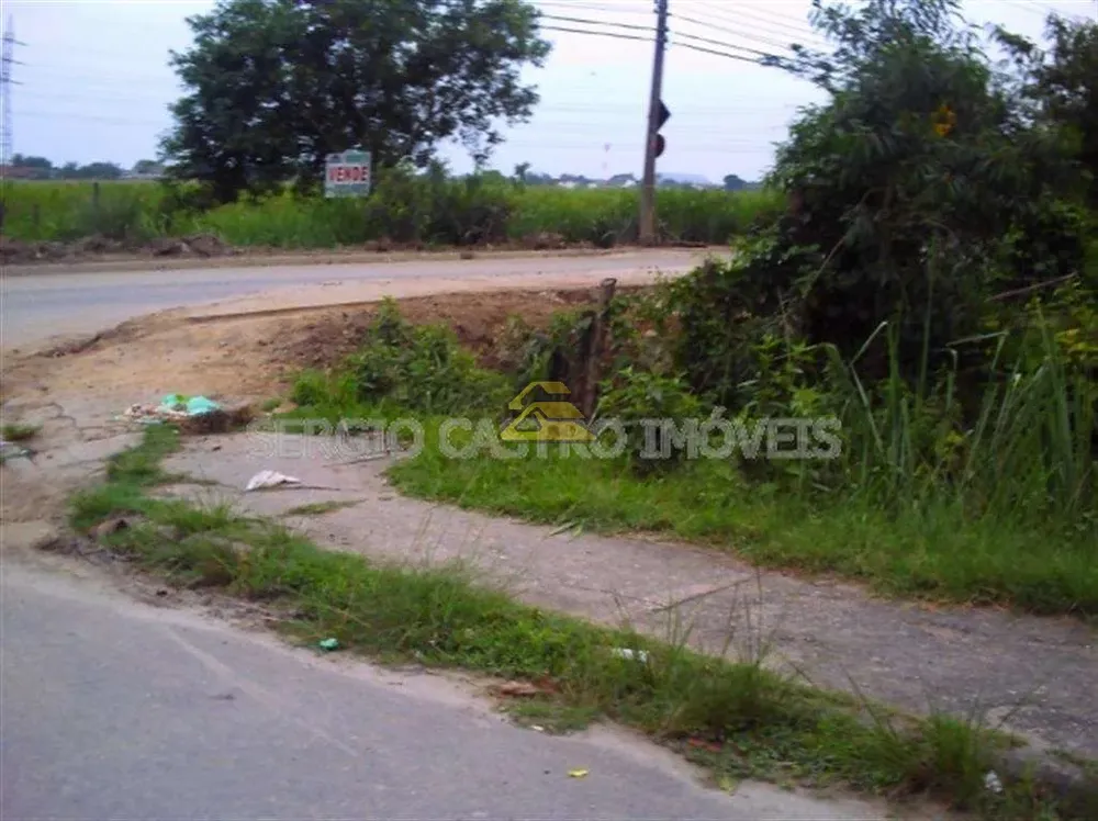 Terreno, 10 hectares - Foto 4