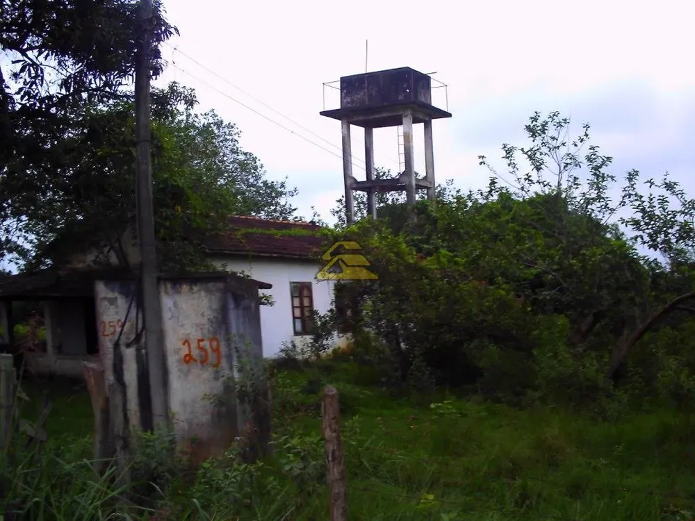 Terreno, 10 hectares - Foto 10