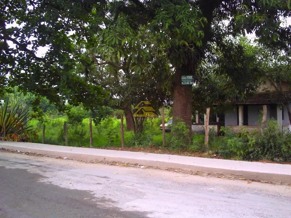 Terreno, 10 hectares - Foto 15