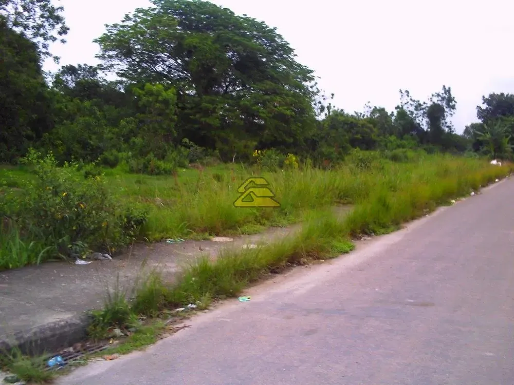 Terreno, 10 hectares - Foto 12