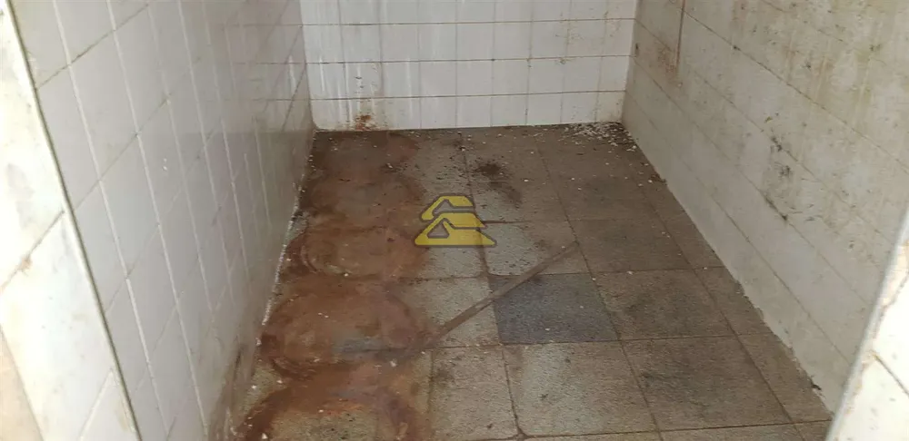Prédio Inteiro, 400 m² - Foto 15