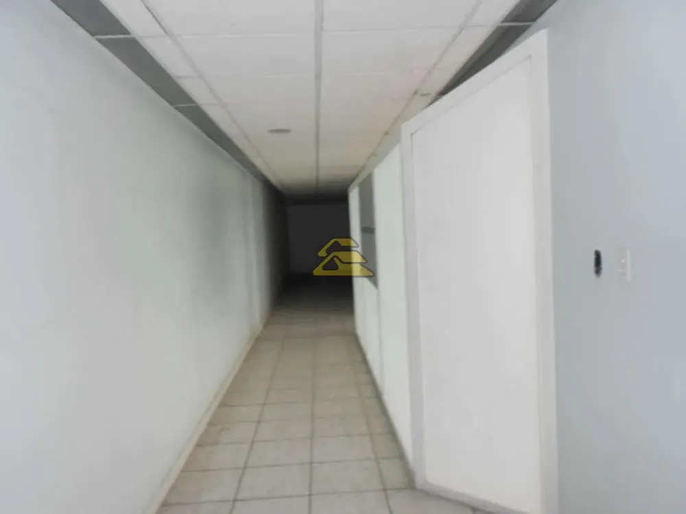 Sala-Conjunto, 597 m² - Foto 6