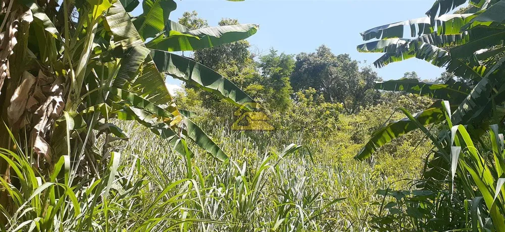Terreno, 7000 m² - Foto 1