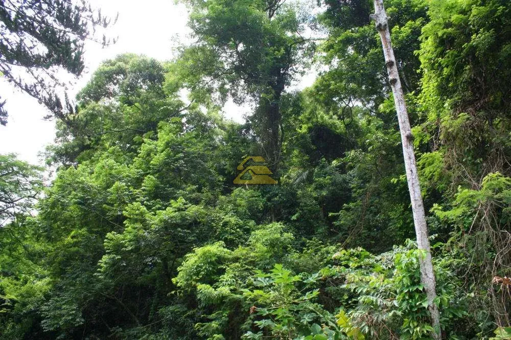 Terreno, 5117 m² - Foto 17