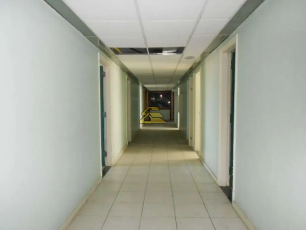 Sala-Conjunto, 597 m² - Foto 5