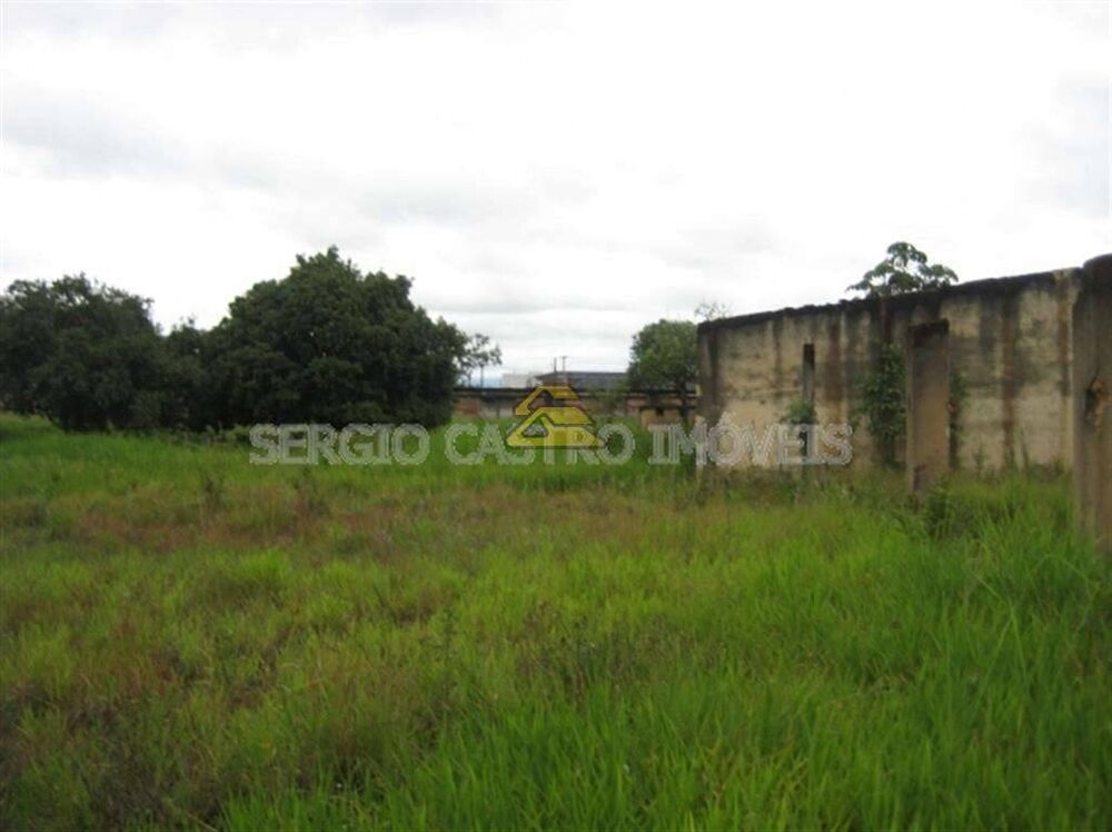 Terreno, 2 hectares - Foto 7