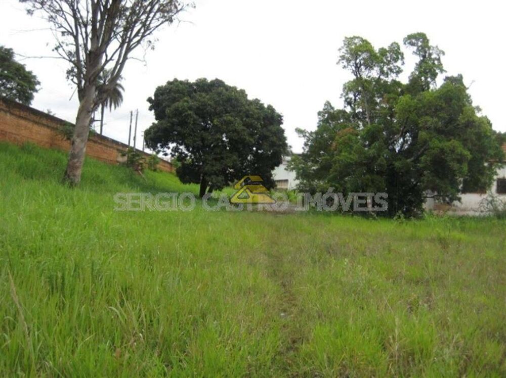 Terreno, 2 hectares - Foto 8