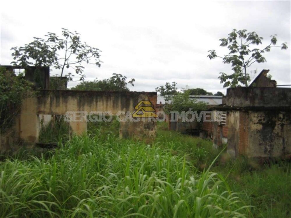 Terreno, 2 hectares - Foto 12