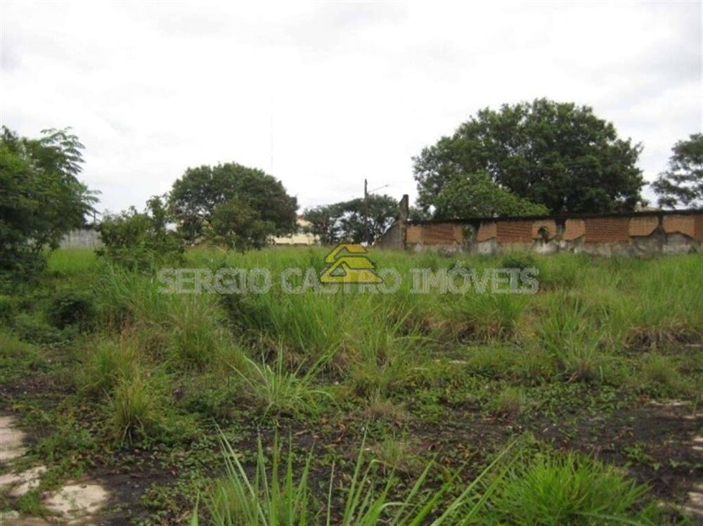 Terreno, 2 hectares - Foto 19