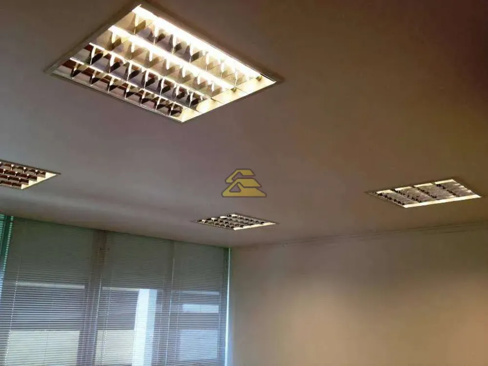 Sala-Conjunto, 272 m² - Foto 4