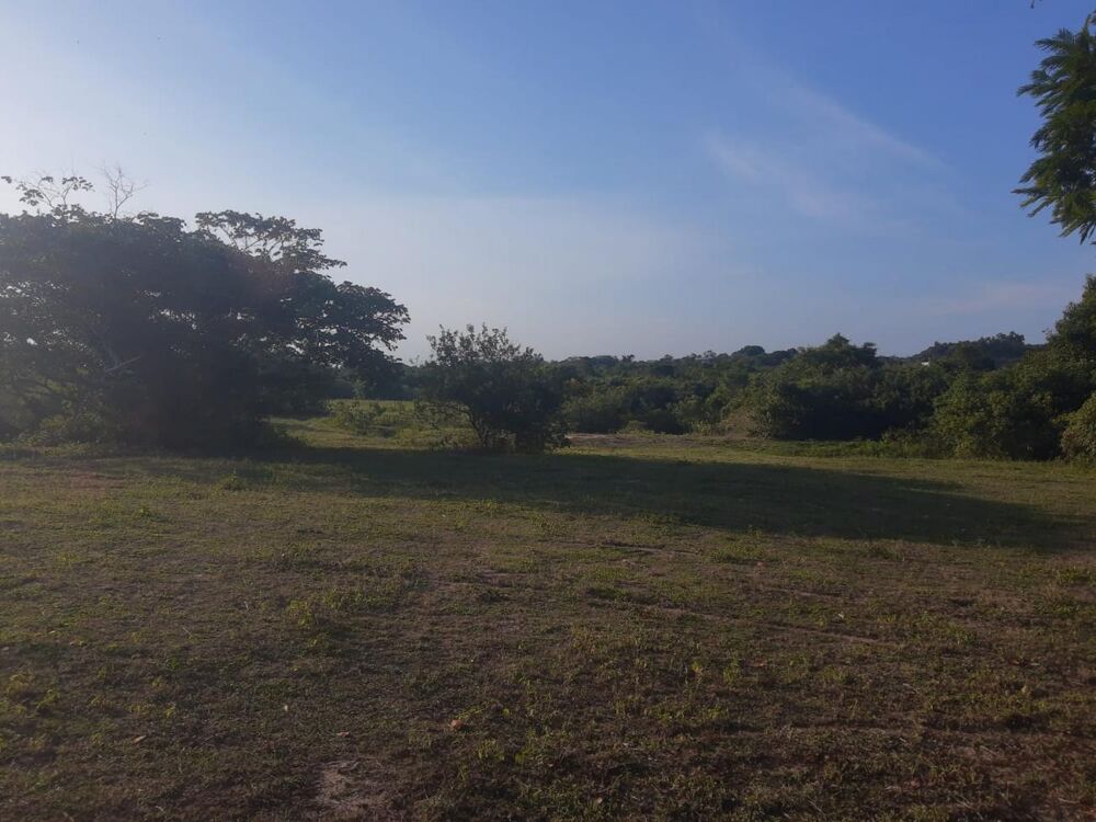 Chácara à venda - Foto 4